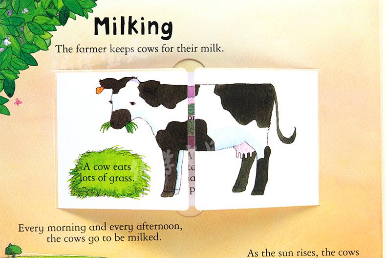 Look Inside Science Baby Educational Picture Cardboard Montessori Materials English Language Books Reading Books for Kids Look Inside Science Baby Educational Picture Cardboard Montessori Materials English Language Books Reading Books for Kids