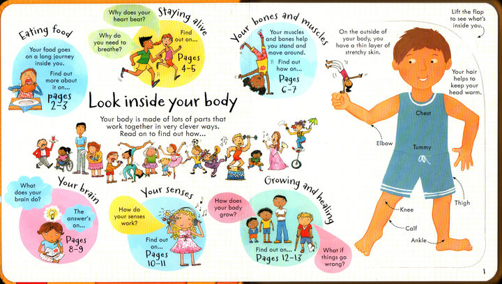 Look Inside Science Baby Educational Picture Cardboard Montessori Materials English Language Books Reading Books for Kids Look Inside Science Baby Educational Picture Cardboard Montessori Materials English Language Books Reading Books for Kids