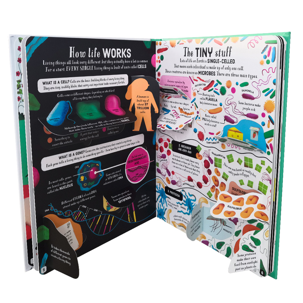 Look Inside Science Baby Educational Picture Cardboard Montessori Materials English Language Books Reading Books for Kids Look Inside Science Baby Educational Picture Cardboard Montessori Materials English Language Books Reading Books for Kids