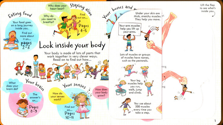 Look Inside Science Baby Educational Picture Cardboard Montessori Materials English Language Books Reading Books for Kids Look Inside Science Baby Educational Picture Cardboard Montessori Materials English Language Books Reading Books for Kids