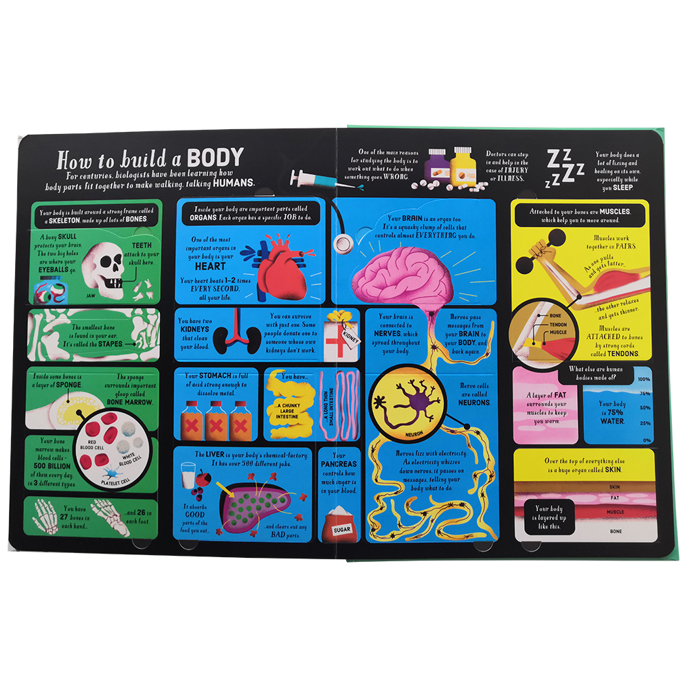 Look Inside Science Baby Educational Picture Cardboard Montessori Materials English Language Books Reading Books for Kids Look Inside Science Baby Educational Picture Cardboard Montessori Materials English Language Books Reading Books for Kids