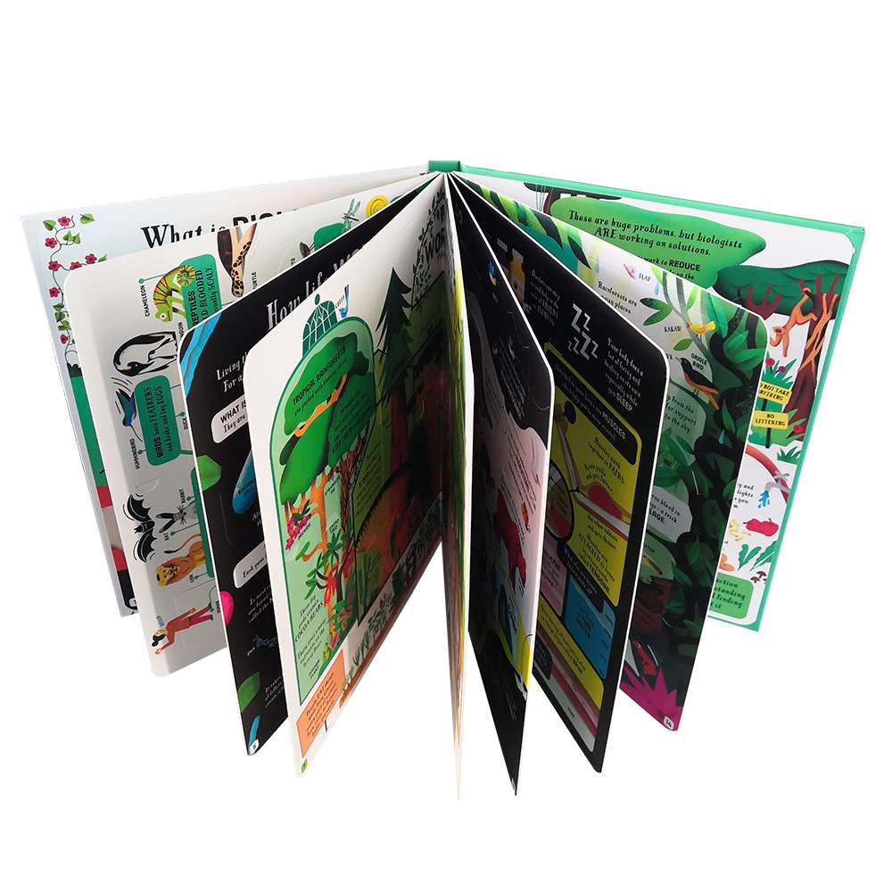 Look Inside Science Baby Educational Picture Cardboard Montessori Materials English Language Books Reading Books for Kids Look Inside Science Baby Educational Picture Cardboard Montessori Materials English Language Books Reading Books for Kids