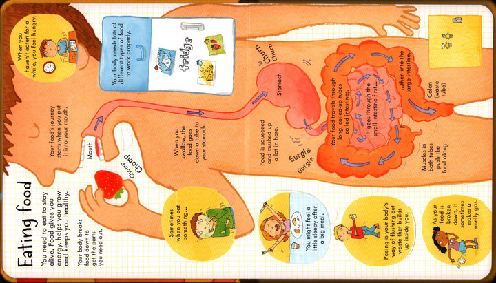 Look Inside Science Baby Educational Picture Cardboard Montessori Materials English Language Books Reading Books for Kids Look Inside Science Baby Educational Picture Cardboard Montessori Materials English Language Books Reading Books for Kids