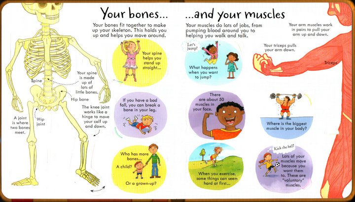 Look Inside Science Baby Educational Picture Cardboard Montessori Materials English Language Books Reading Books for Kids Look Inside Science Baby Educational Picture Cardboard Montessori Materials English Language Books Reading Books for Kids