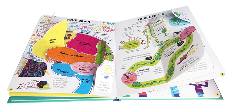 Look Inside Science Baby Educational Picture Cardboard Montessori Materials English Language Books Reading Books for Kids Look Inside Science Baby Educational Picture Cardboard Montessori Materials English Language Books Reading Books for Kids