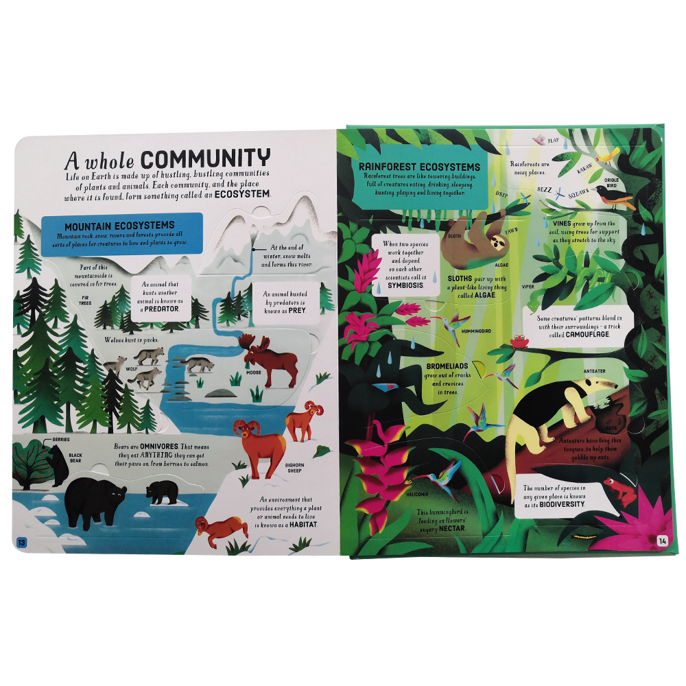 Look Inside Science Baby Educational Picture Cardboard Montessori Materials English Language Books Reading Books for Kids Look Inside Science Baby Educational Picture Cardboard Montessori Materials English Language Books Reading Books for Kids