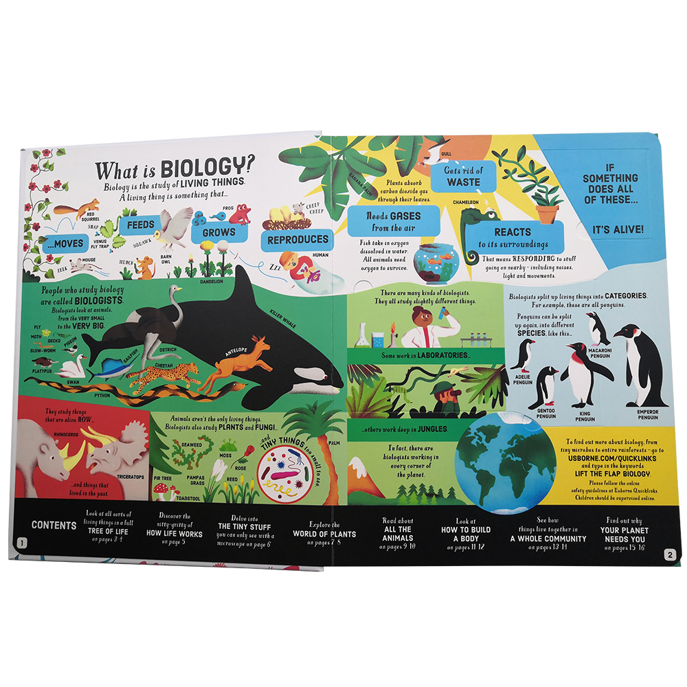 Look Inside Science Baby Educational Picture Cardboard Montessori Materials English Language Books Reading Books for Kids Look Inside Science Baby Educational Picture Cardboard Montessori Materials English Language Books Reading Books for Kids