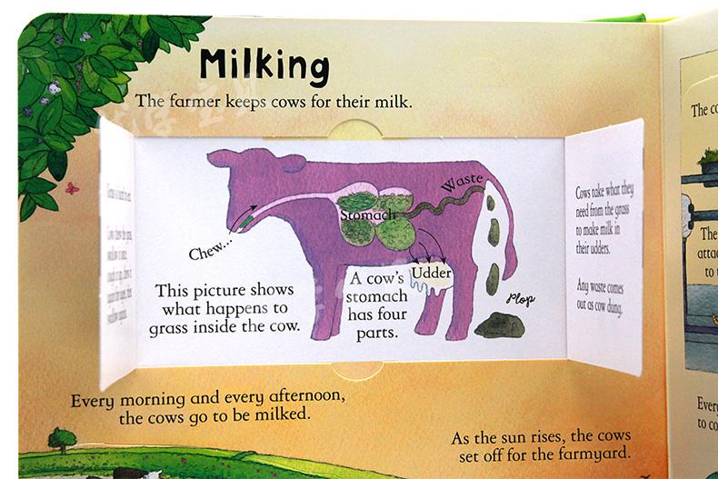 Look Inside Science Baby Educational Picture Cardboard Montessori Materials English Language Books Reading Books for Kids Look Inside Science Baby Educational Picture Cardboard Montessori Materials English Language Books Reading Books for Kids