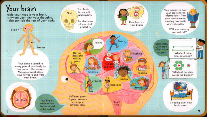 Look Inside Science Baby Educational Picture Cardboard Montessori Materials English Language Books Reading Books for Kids Look Inside Science Baby Educational Picture Cardboard Montessori Materials English Language Books Reading Books for Kids