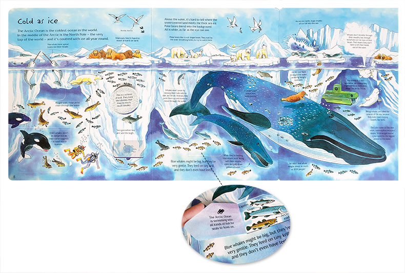 Look Inside Science Baby Educational Picture Cardboard Montessori Materials English Language Books Reading Books for Kids Look Inside Science Baby Educational Picture Cardboard Montessori Materials English Language Books Reading Books for Kids